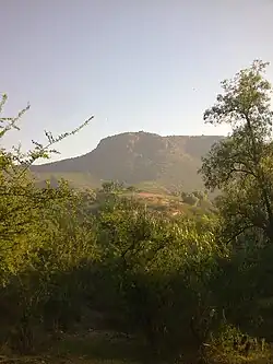 Elephant Hill, part of Hacienda Demiñho