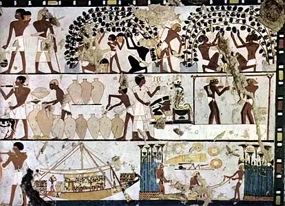 Image 17Grape cultivation, winemaking, and commerce in ancient Egypt c. 1500 BC (from History of wine)