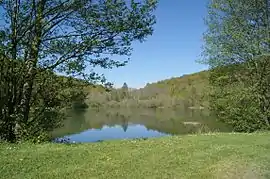 The lake in Vernois-lès-Vesvres