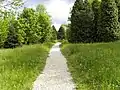 Path in the park in Mezőcsokonya