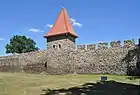 Medieval town walls