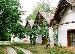 Šokac houses in Draž