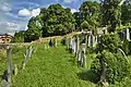 Jewish cemetery