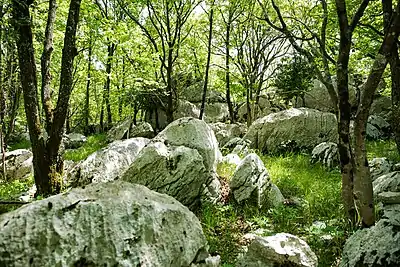 Karst Living Museum