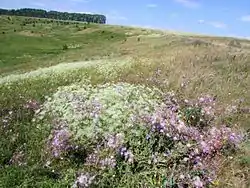 Nature reserve in Batyrevsky District