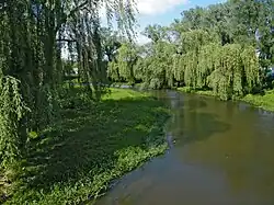 Ikva River in Dubno