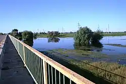 Wetlands in Krasnoyarsky District