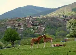 Sliven Province