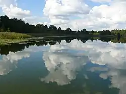 Lake Tabashinskoye, a protected area of Russia in Orshansky District