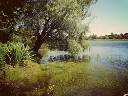 Lake Ilmen in Danilovsky District