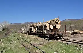 Log-cars, station Tubyi