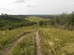 Floodplain of the right bank of the Iset River, Isetsky District