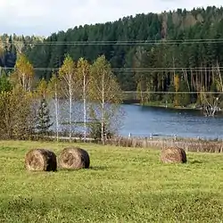 Landscape in Uinsky District