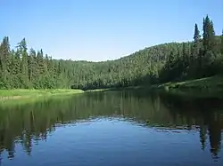 Pizhma River, a left tributary of the Pechora River, in Ust-Tsilemsky District