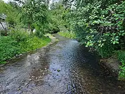 The Bilyi Potik River near the village of Bilyi Potik