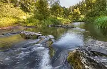 A view of the Izdrevaya River