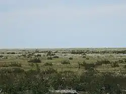 Tundra in the Ust-Yansky District.