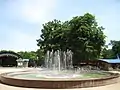 The fountain in the Gorky Park