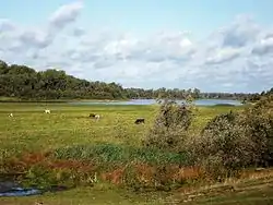 Chulym River, Bolsheuluysky District