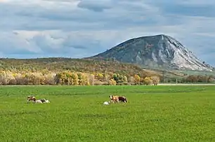 Shihan Toratau. Single hills are popular symbols of Bashkortostan.