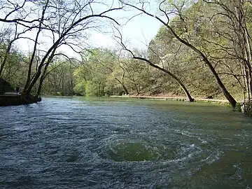 Maramec Spring in the Ozarks, Missouri