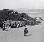 Hula. Cotton harvest 1930