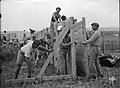 Construction of stockade wall, 1 April 1937