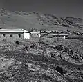 Kfar Szold 1947