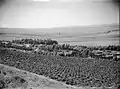 Ein Harod 1930