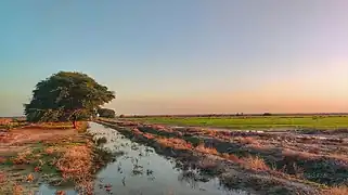 Sunset in Ab-Pakhsh (Bushehr province)