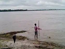 Teesta River in Dimla Upazila