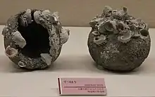 Yuan dynasty bombs, known in Japanese as Tetsuhau (iron bomb), or in Chinese as Zhentianlei (thunder crash bomb), dated to the Mongol invasions of Japan (1271–1284).