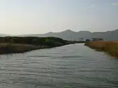 Island in the river's estuary