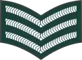 Sergeant(Gambian National Army)