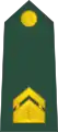 Višji vodnik(Slovenian Ground Force)