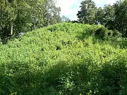 Mound 2 at Lake Jackson Mounds Archaeological State Park