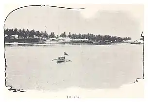 Banana in 1899