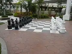 Giant chess board