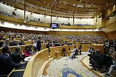 PM Sánchez before Senate