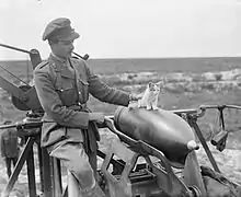 Officer of 444 Siege Battery and kitten, Mk V howitzer, near Arras 19 July 1918