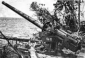 A 3rd Year Type gun used for coastal defense.