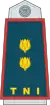 Lieutenant Colonel