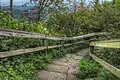 Waterrock Knob Trail