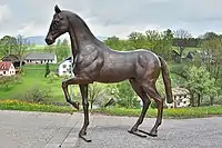 Akhal-Teke, bronze, 2015