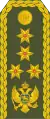 General pukovnik(Montenegrin Ground Army)