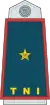 Brigadier General