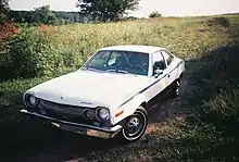 AMC Hornet.