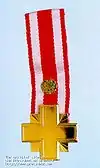 1st degree combat cross Arm.