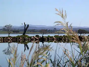 Mitchell River silt jetties, with the river in the foreground and Lake King in the distance