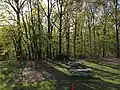 Picnic area next to the Nature Center at YMCA Camp Bernie